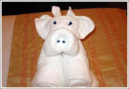 ����ס��Ƶ��ֳ�