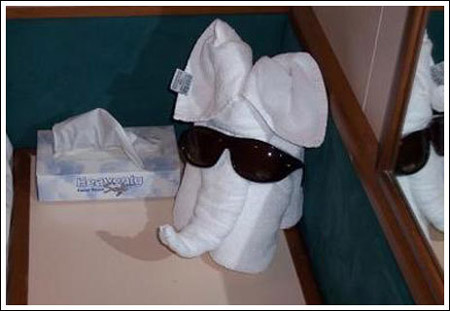 ����ס��Ƶ��ֳ�