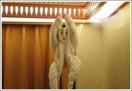 ����ס��Ƶ��ֳ�