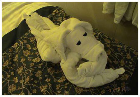 ����ס��Ƶ��ֳ�