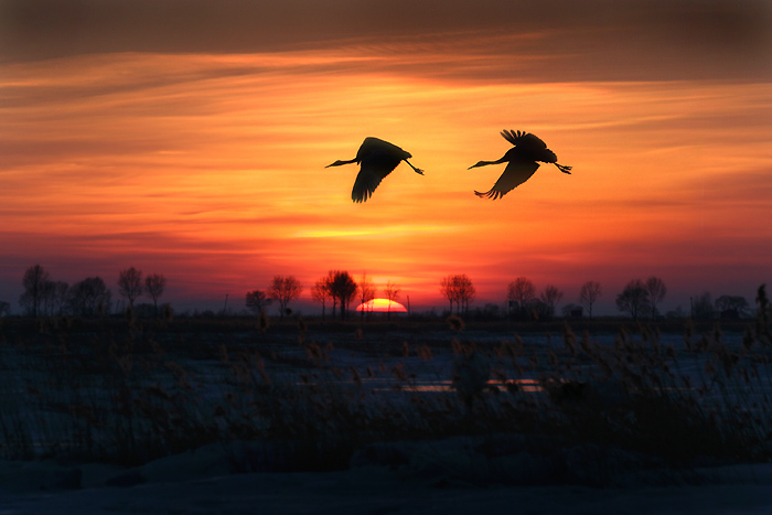 ������Ӱ��Ʒ