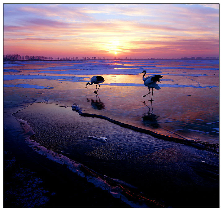 ������Ӱ��Ʒ