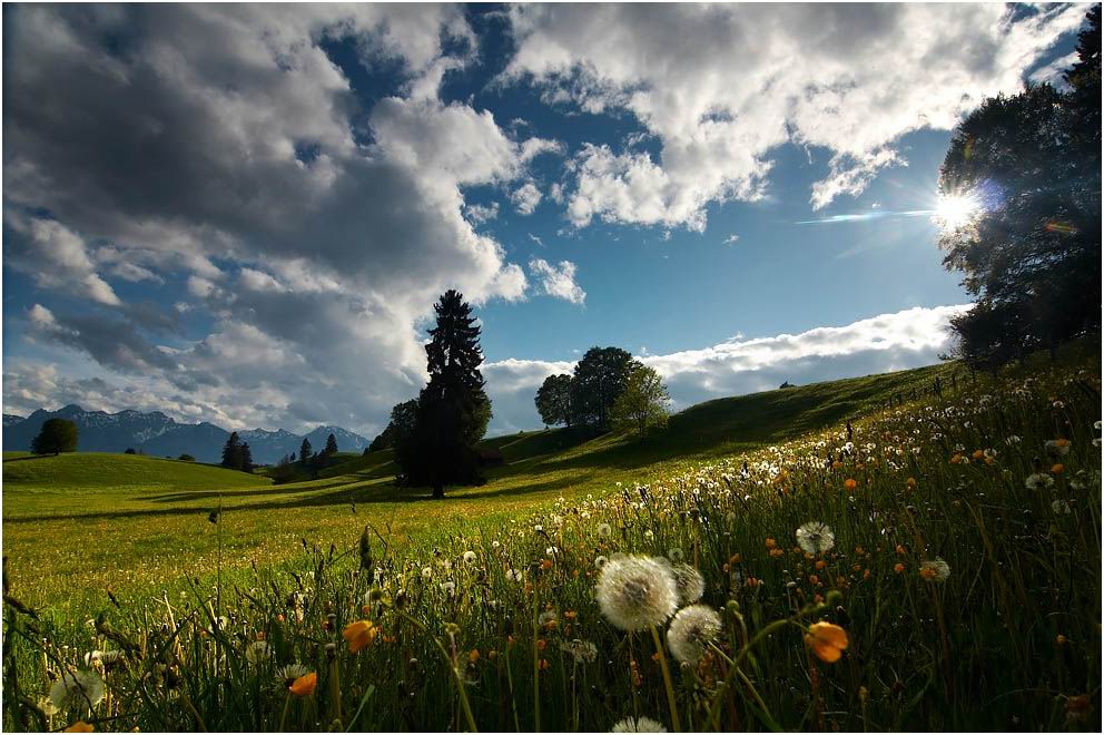 ������Ӱ��Ʒ