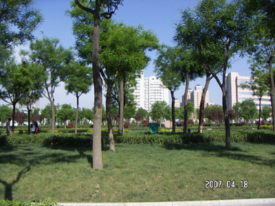 �ƶ������Ǽ��