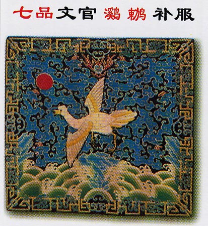 ����ٹٲ�������