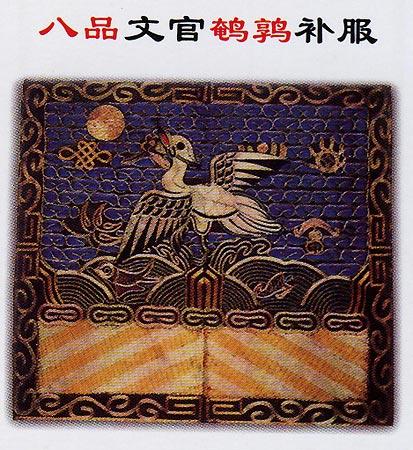 ����ٹٲ�������