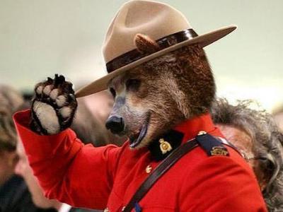 �ɰ��¹�����