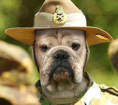 �ɰ��¹�����