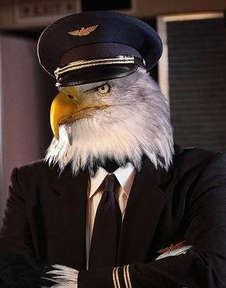 �ɰ��¹�����