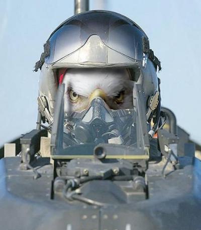 �ɰ��¹�����