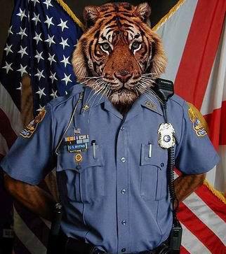 �ɰ��¹�����