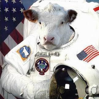 �ɰ��¹�����