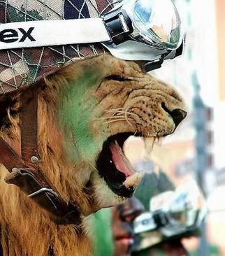 �ɰ��¹�����