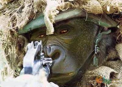 �ɰ��¹�����