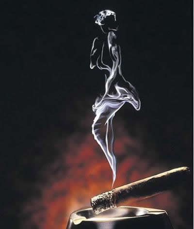 ��ʵ����