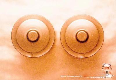 ��˼����Ĵ���