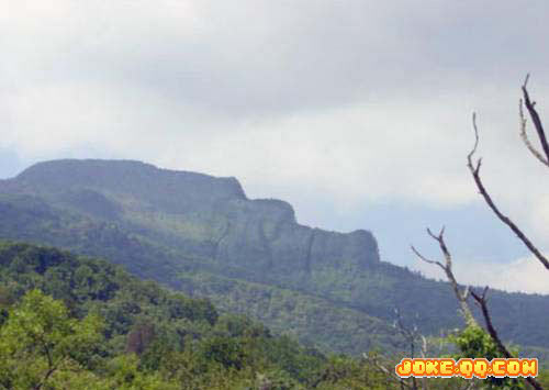 ������Ȼ����