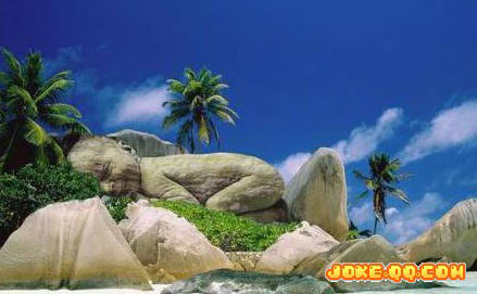 ������Ȼ����