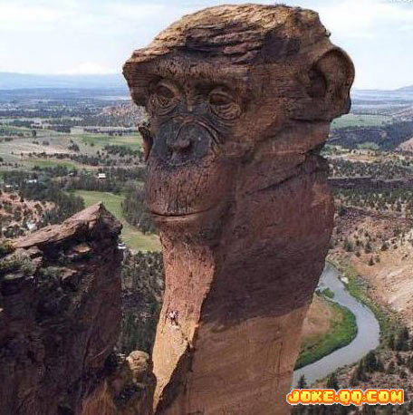 ������Ȼ����