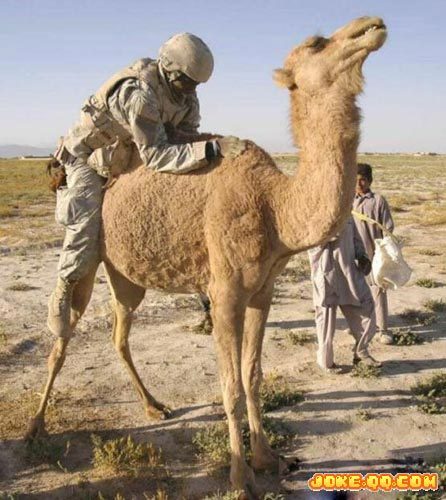 ������Ĭ