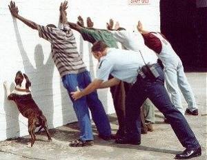 ������Ĭ