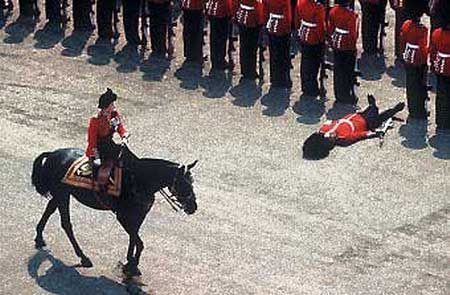 ������Ĭ