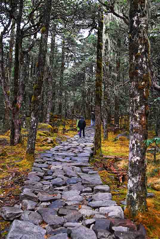 ������������֮��