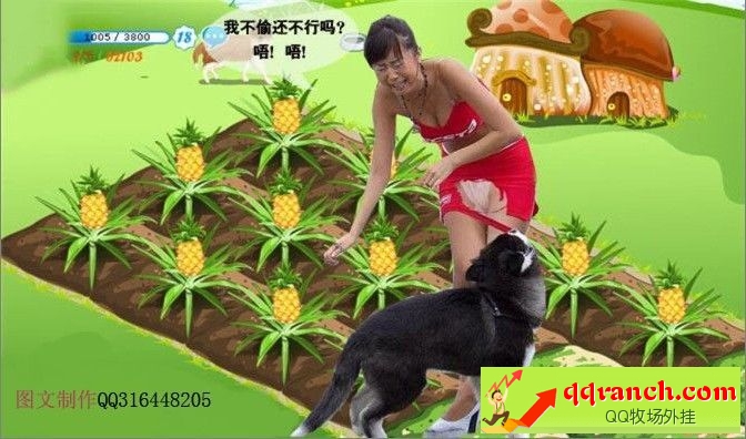 ����ũ������ͼƬ