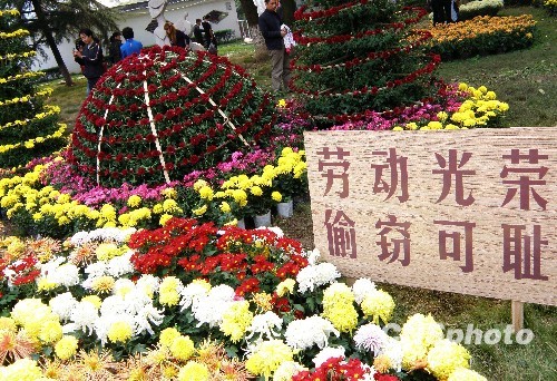 ��ʵũ������ͼƬ