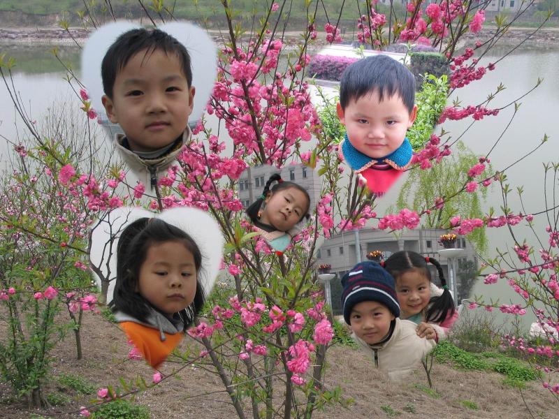 QQũ������ͼƬ