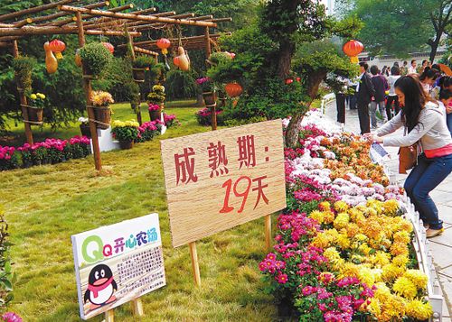 ��ʵũ������ͼƬ