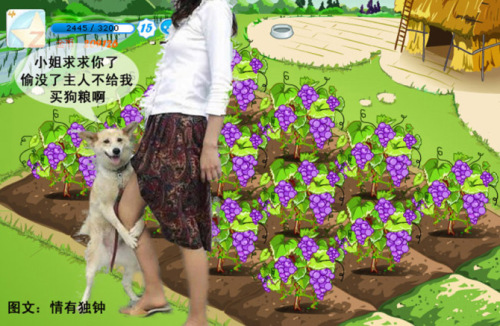 QQũ������ͼƬ