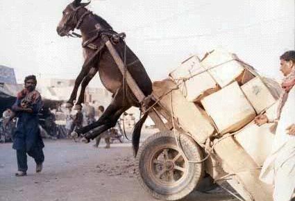 �������ʻ��ЦͼƬ