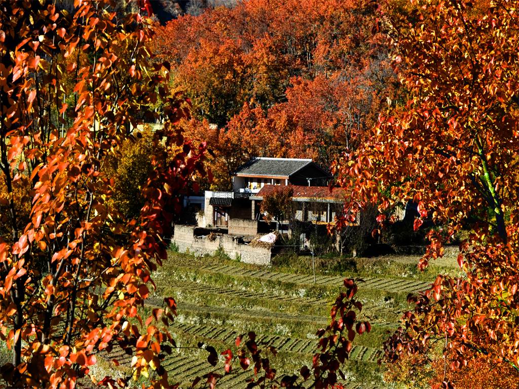 ���С����